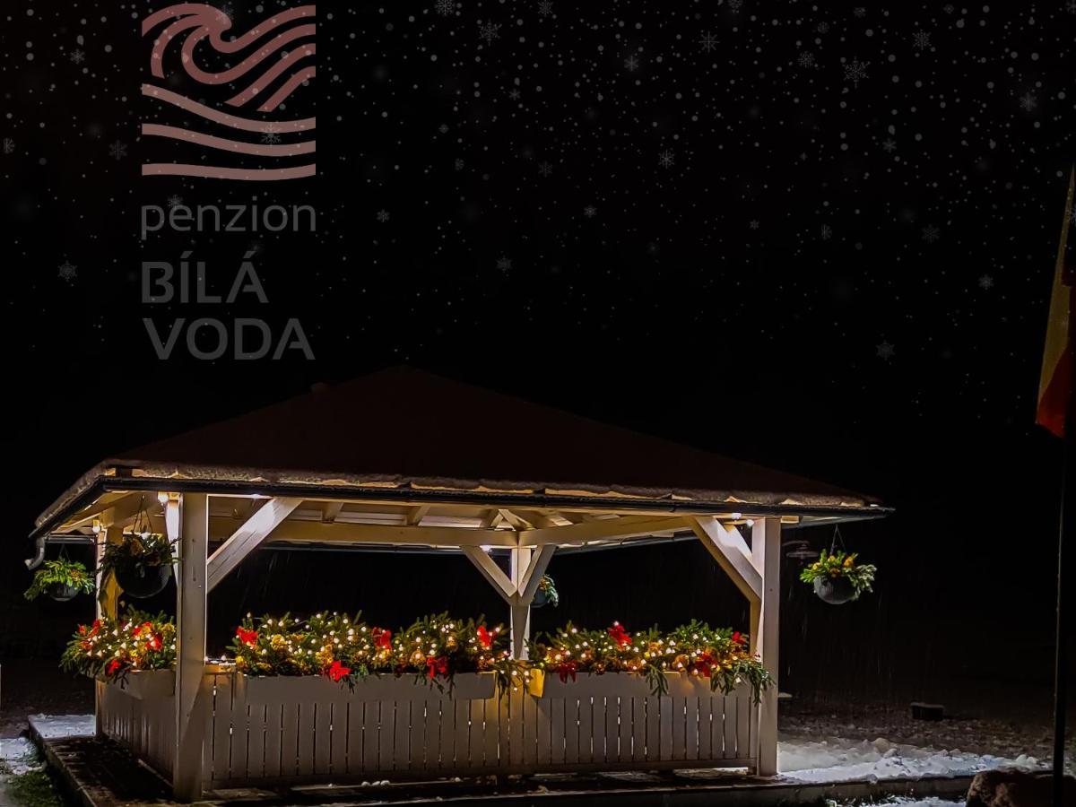 Penzion Bila Voda 哈拉霍夫 外观 照片